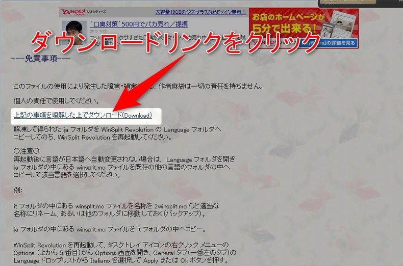 ダウンロードサイト