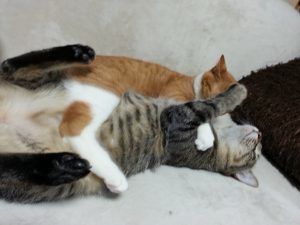 そらに甘えてる?