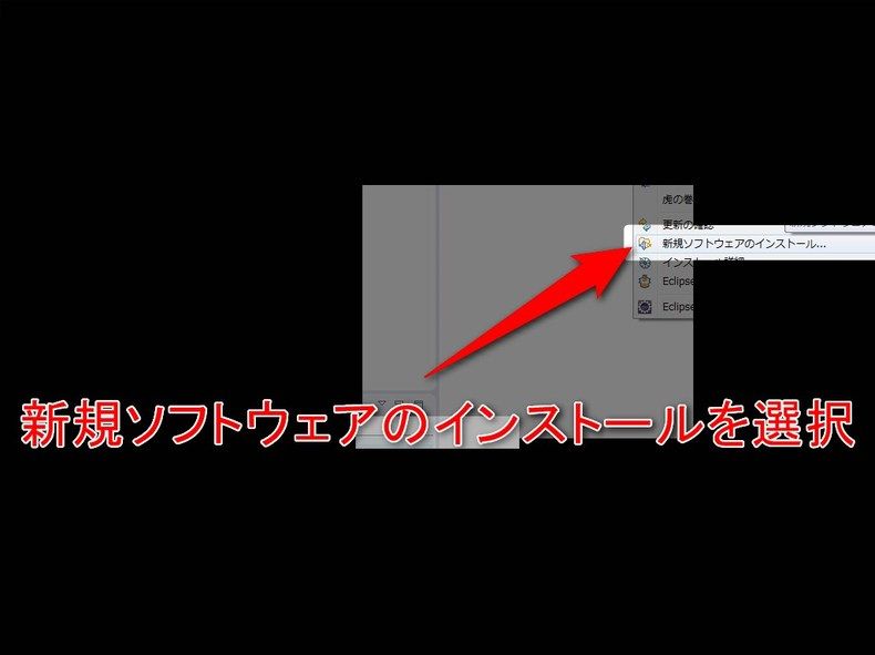 新規ソフトウェアのインストール