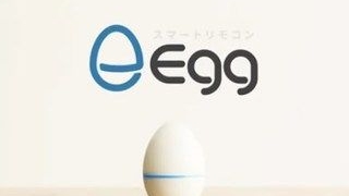 Egg