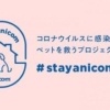 stayanicom