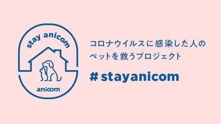 stayanicom