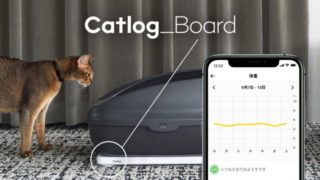 catlogboard