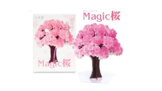 MagicSakura