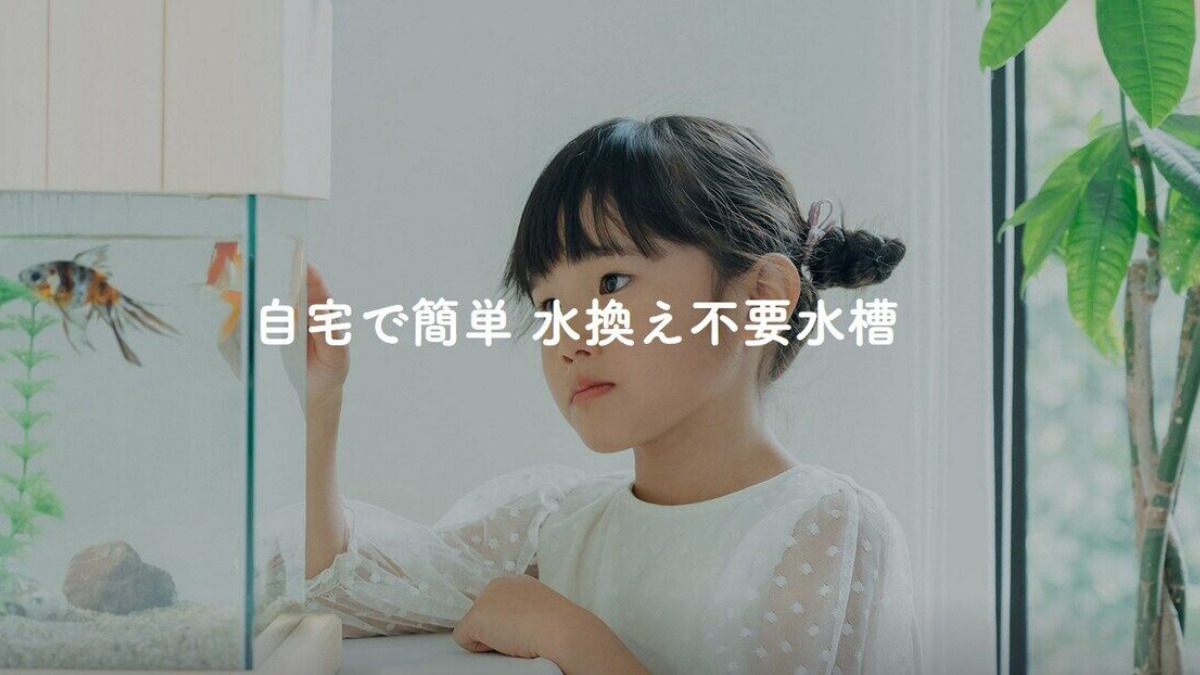 水換えが必要ない水槽でアクアリウムを手軽に楽しめる せせらぎビオトープ ドラブロ Let Bygones Be Bygones