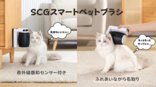 sgs_pet_brush